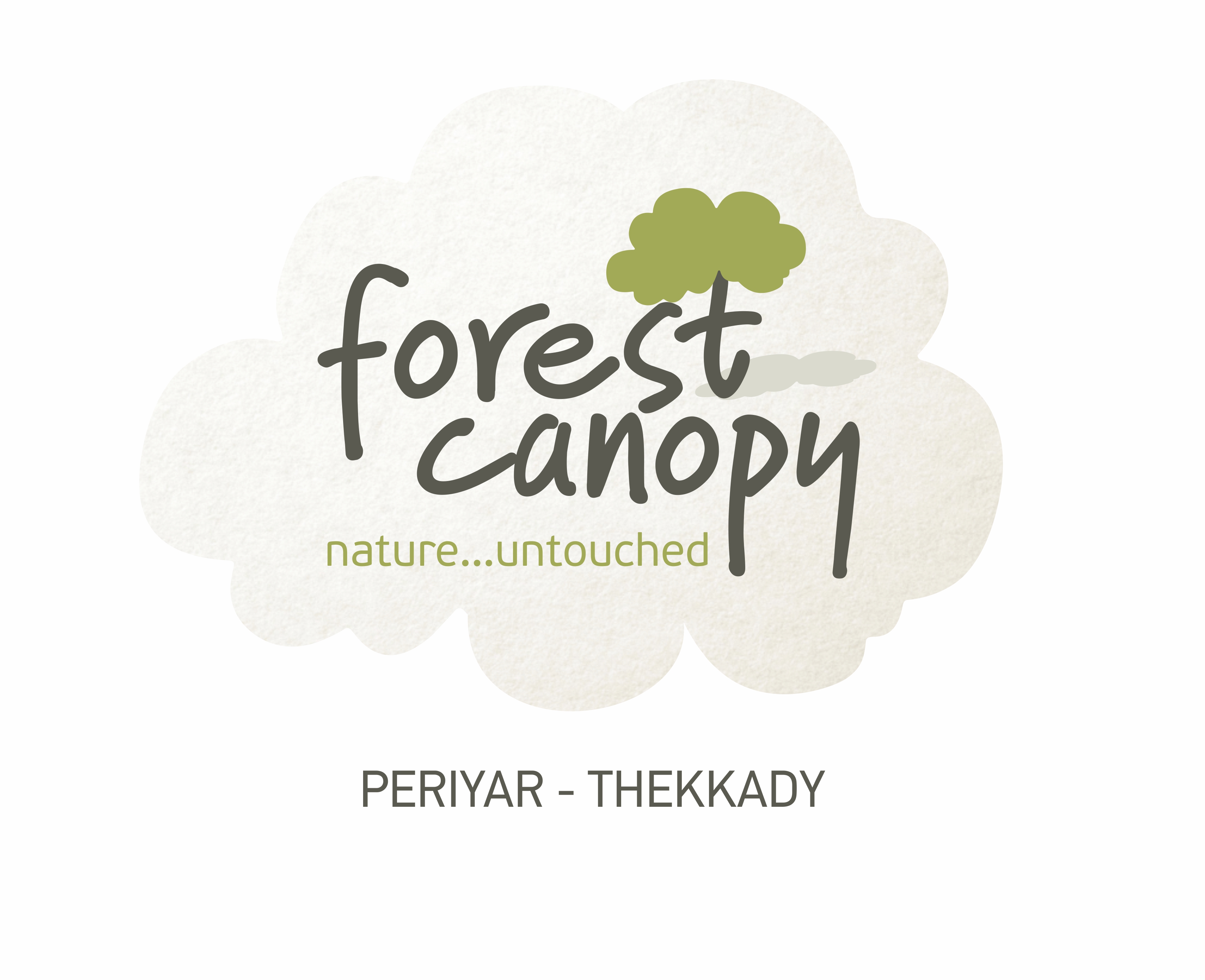 Forest canopy