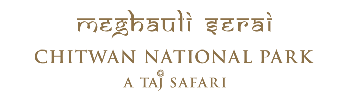Meghauli Serai, A Taj Safari