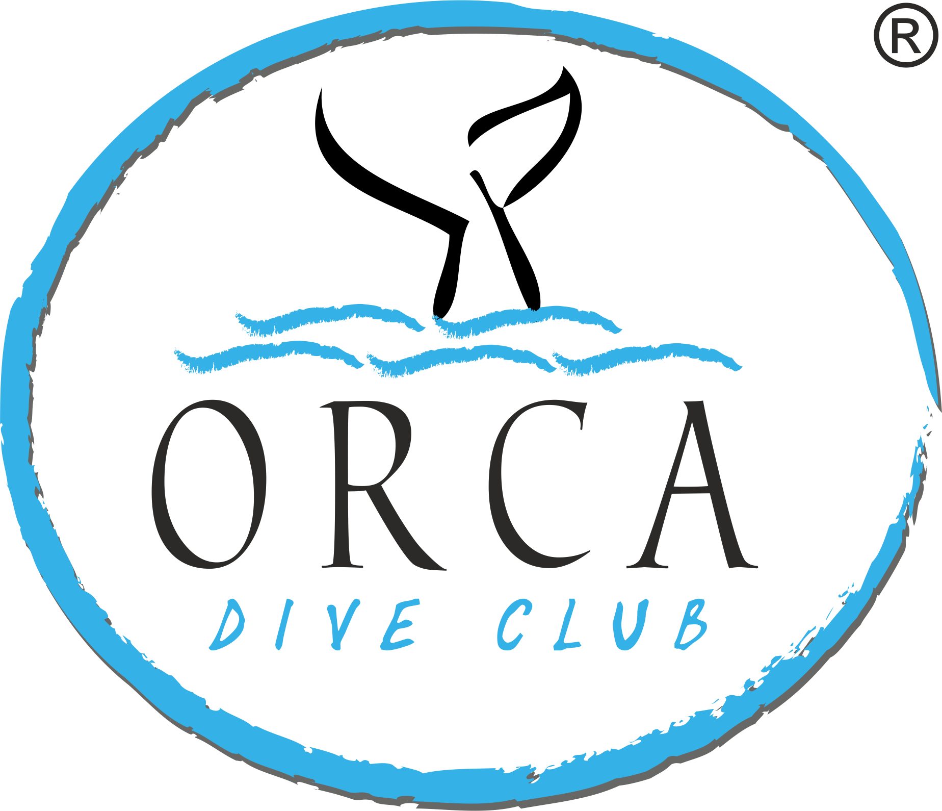 Orca Dive Club