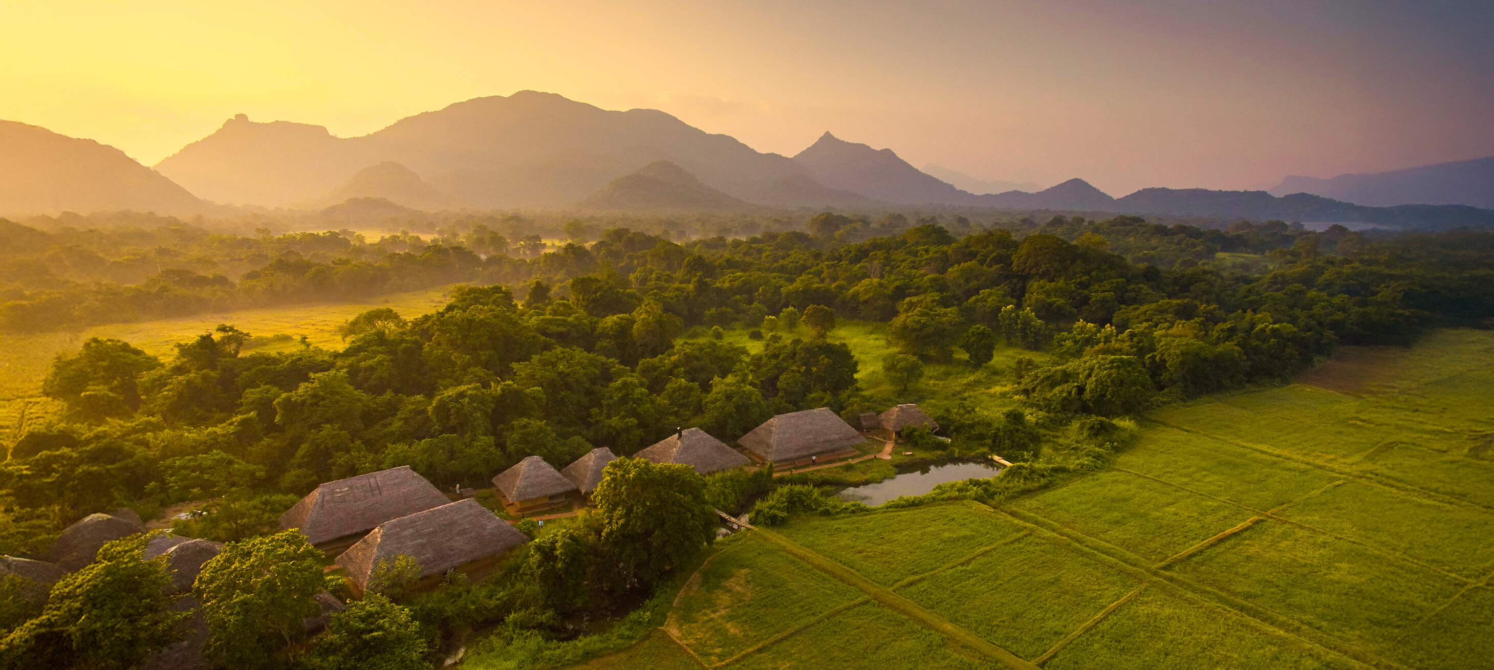 Amuna Ayurveda & Wellness Retreat