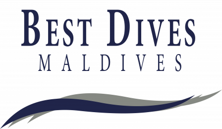 Best Dives Private Limited